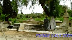 ORAN CIMETIERE JUIF (15) 2009
